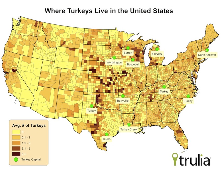 Where Do Wild Turkeys Celebrate Thanksgiving? Trulia's Blog