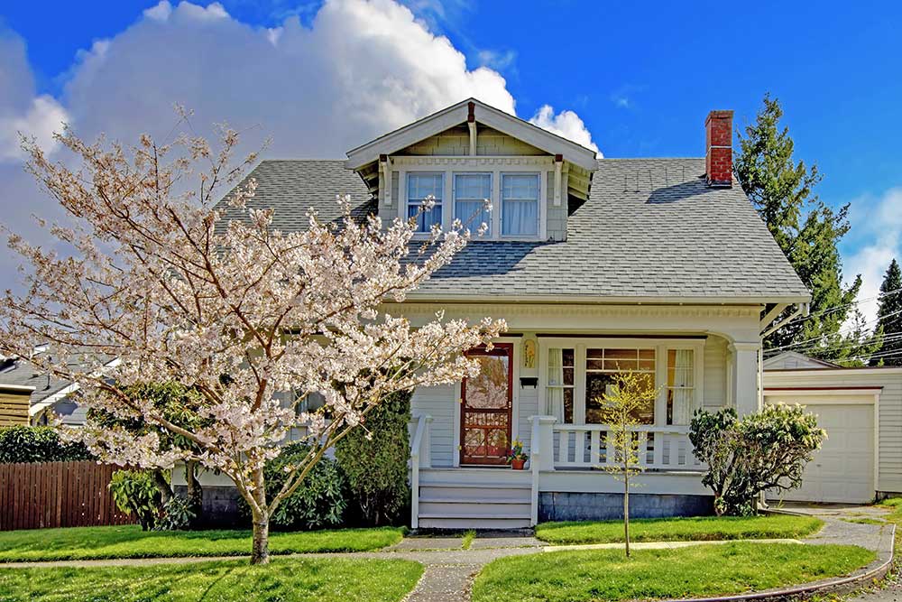 A blossoming cherry tree in front of a house on a sunny day.